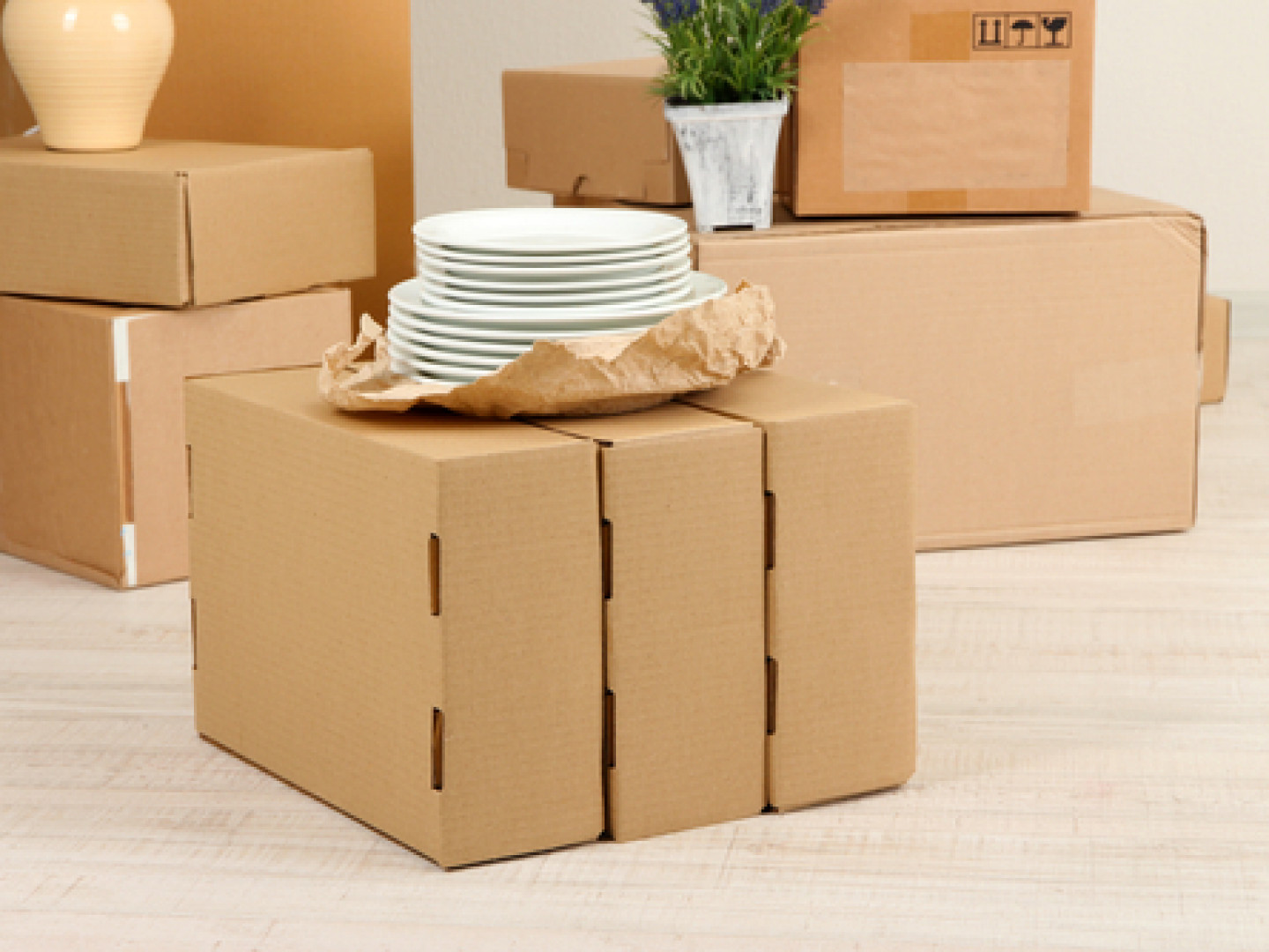 Pressure Washing & Carpet Cleaning Services & Fairmont, WV